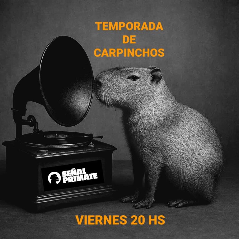 WhatsApp Image 2026-04-12 at 18.46